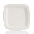 GAR 1017 Square Rim Dinner Plate